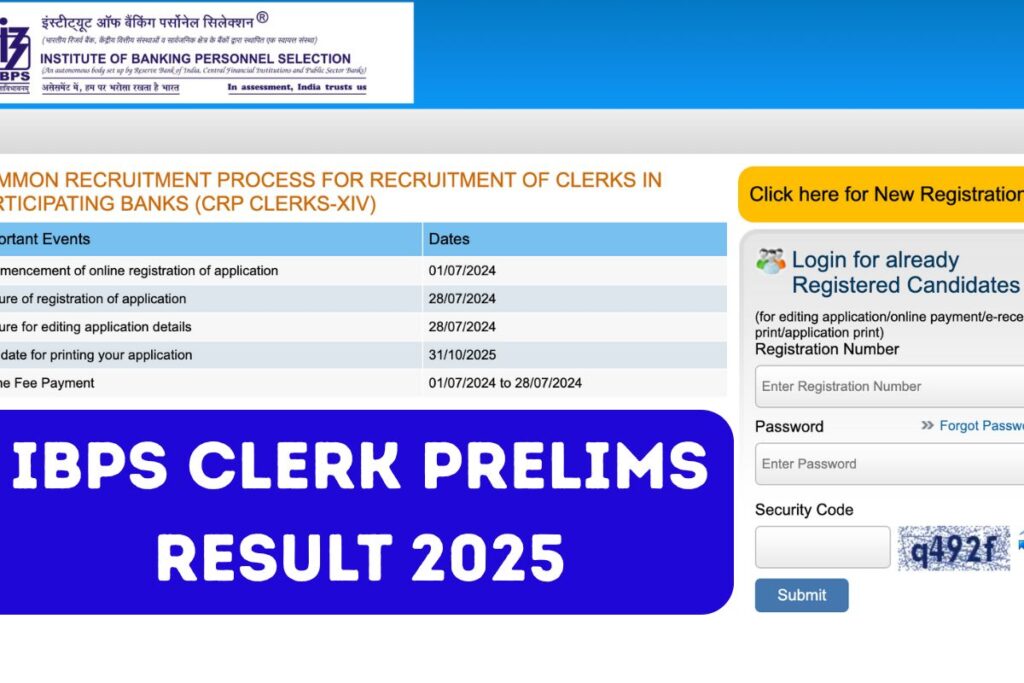 IBPS Clerk Prelims Result 2025, Cut Off, Scorecard